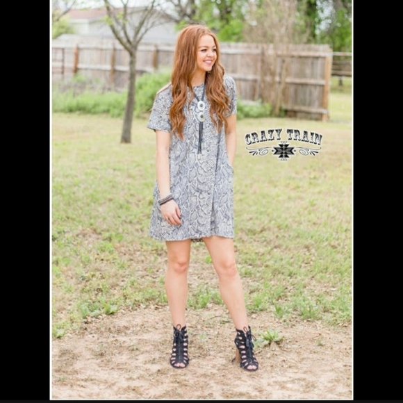🌵Crazy Train☀️ Python Pocket Dress - Picture 4 of 5